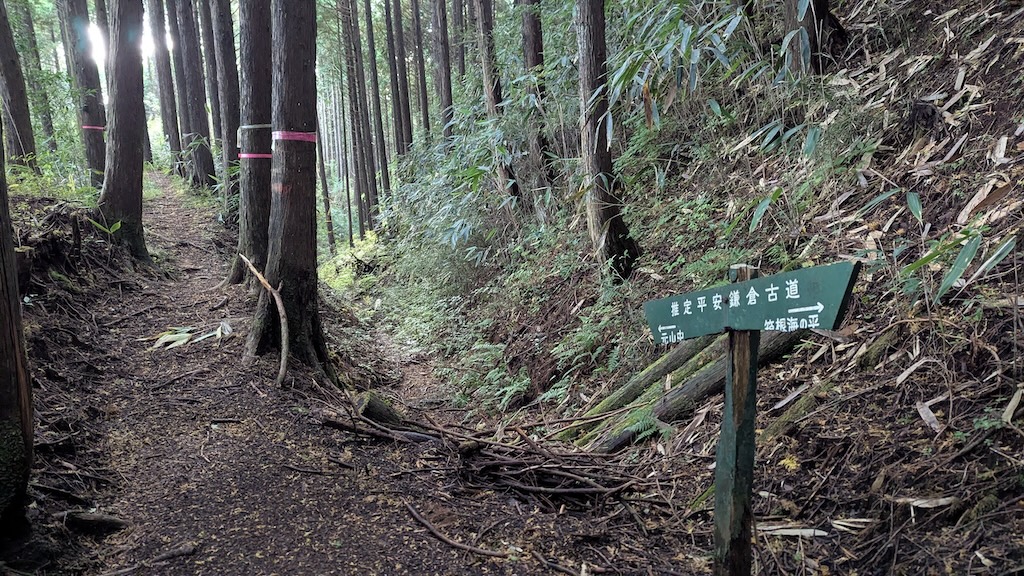 林は深いがピンクテープや看板の案内がしっかりある