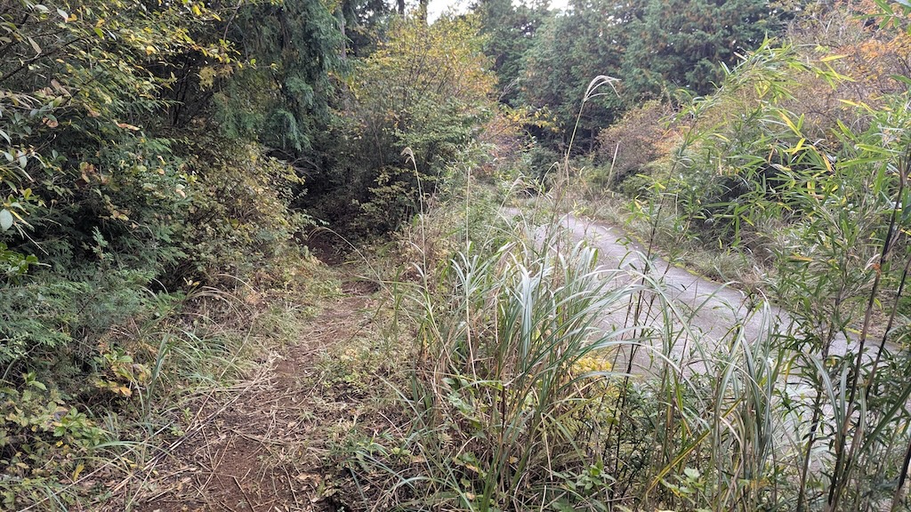 いくつもの林道が合流していく