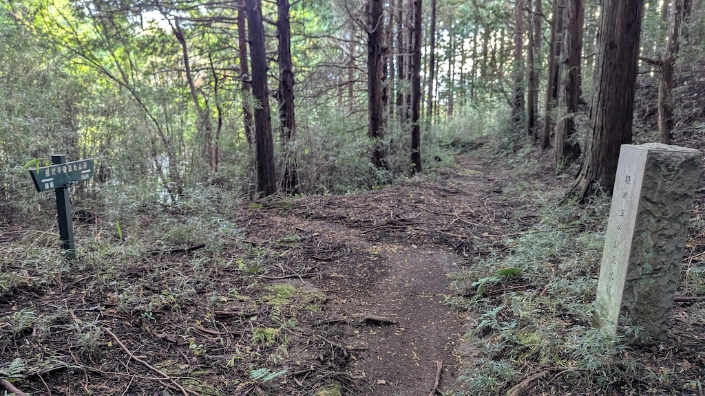 歩きやすく整備された道