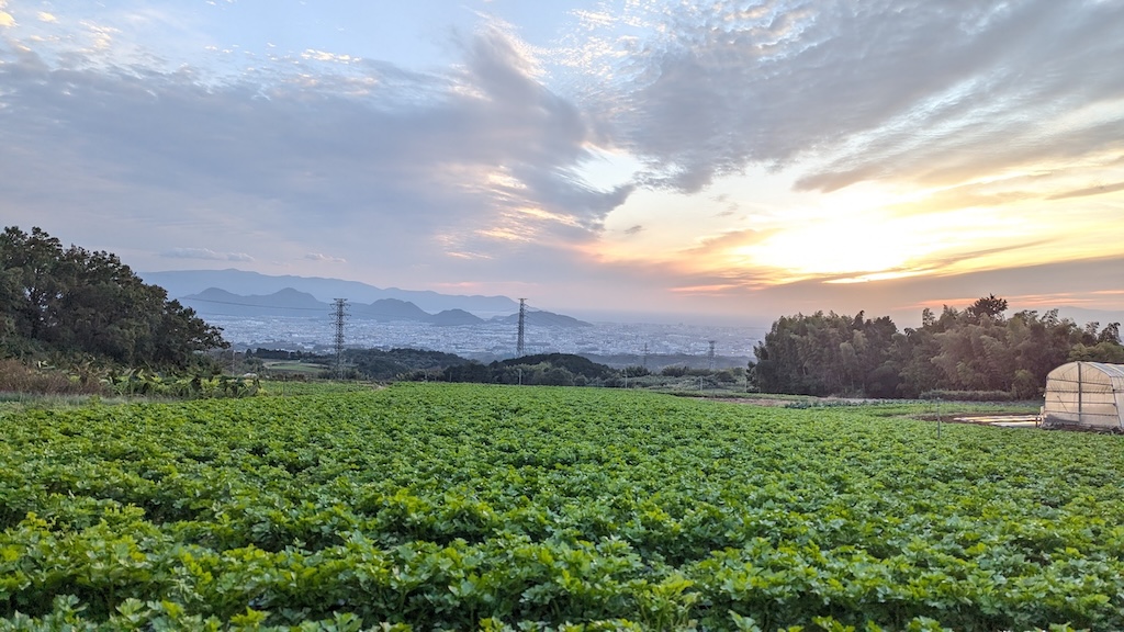眼科には三島市の平野