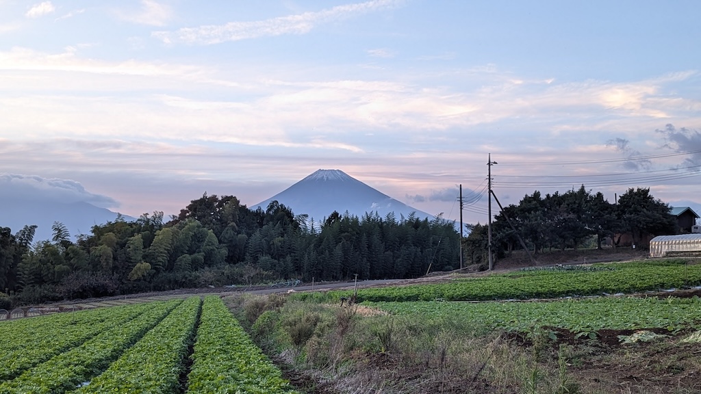 背景には雄大な富士山