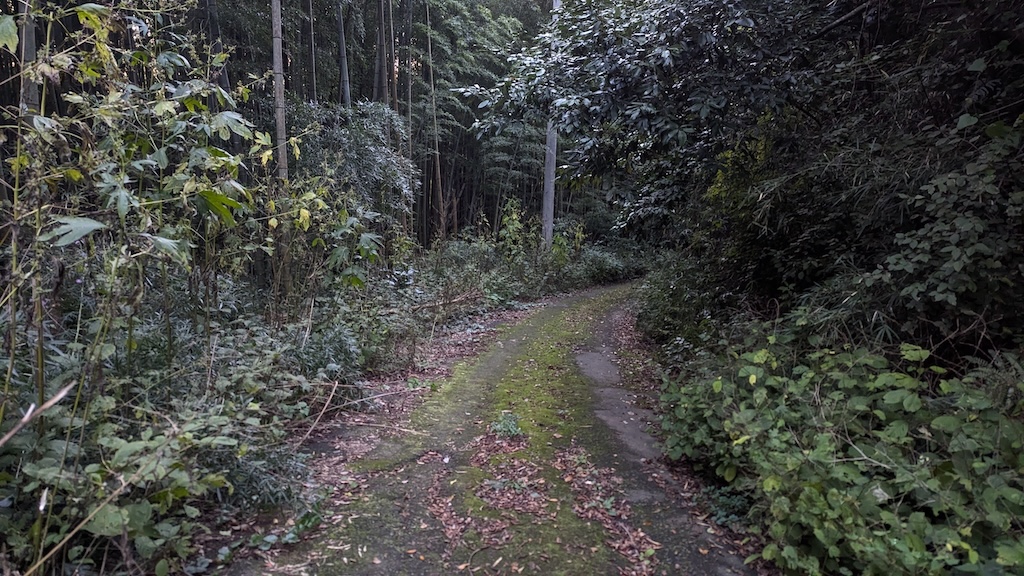 日没直前の道の様子