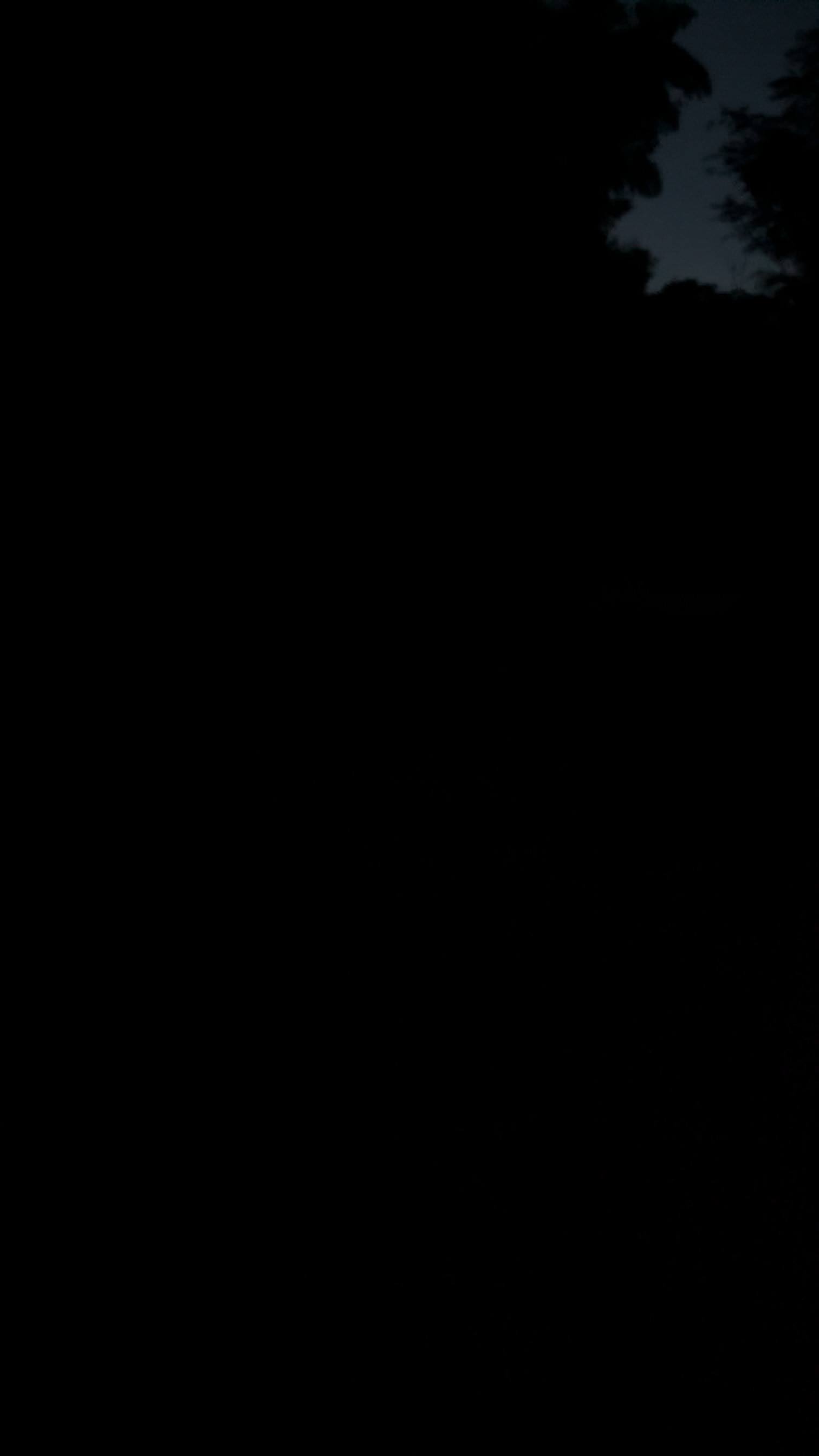 ついに何も見えなくなった