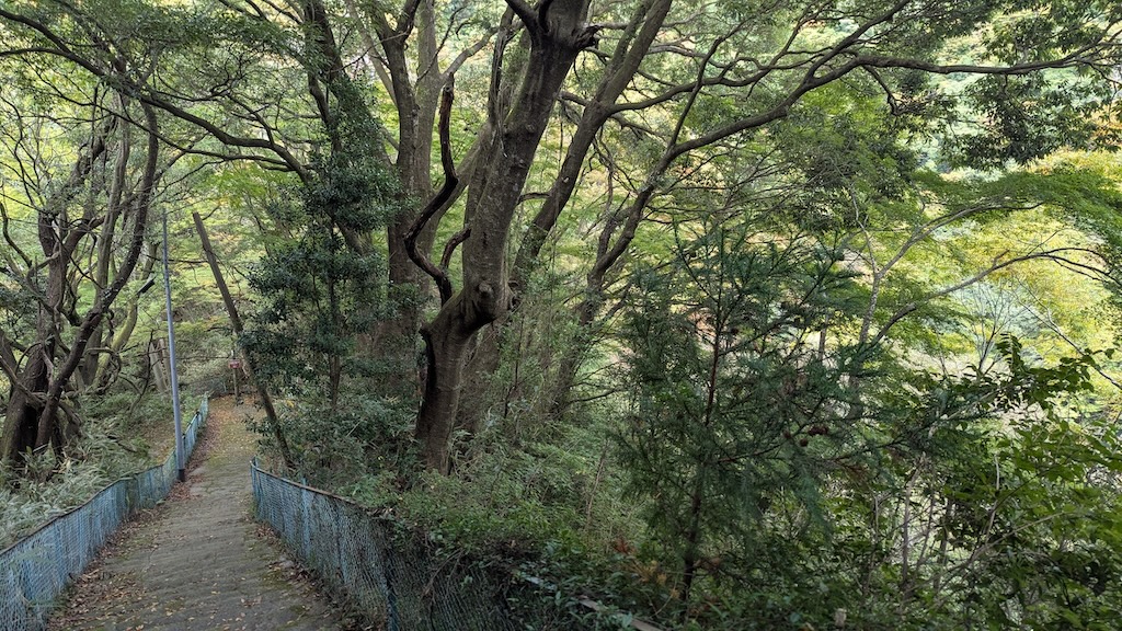 車両が通れない階段の道だが整備されている