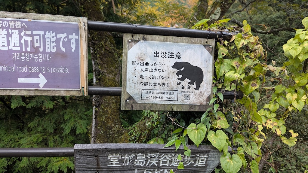 町道通れますと熊に注意