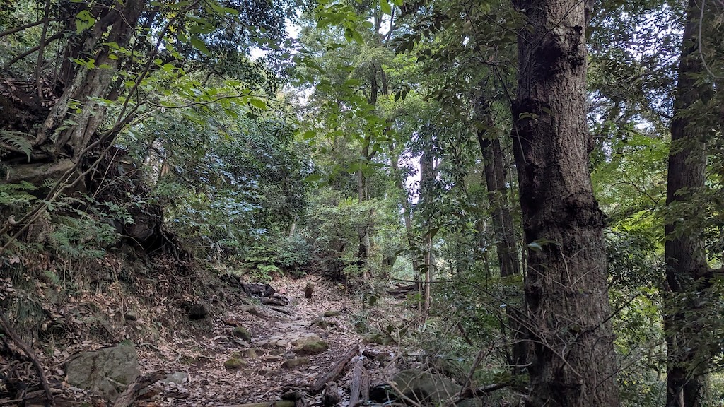 取り付き後の道の様子