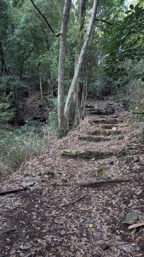 急登が続く険しい道