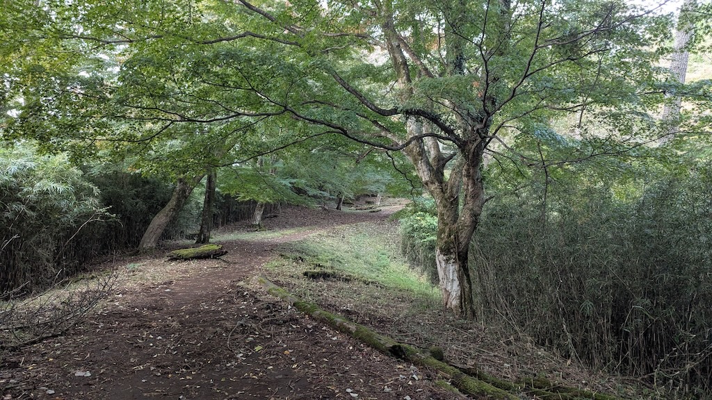 穏やかな稜線の道